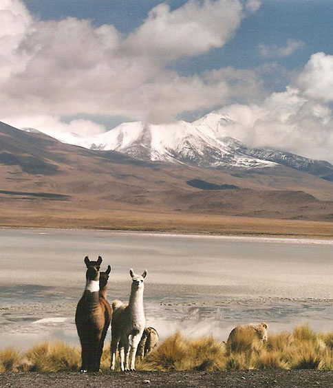 salardeatacama